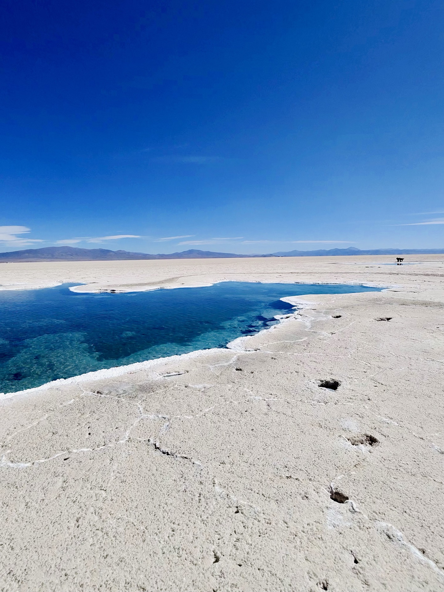 Salinas Grandes