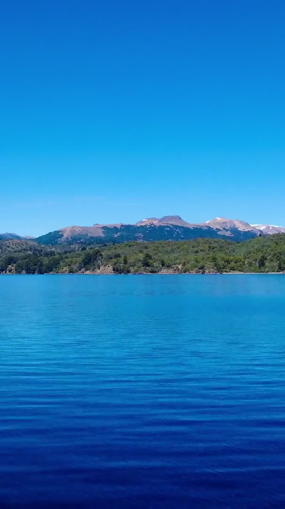 Pehuenia vertical