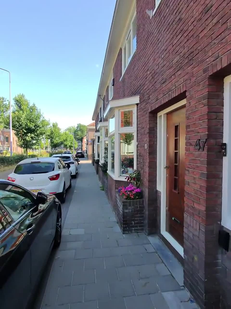 Paseo Zaandam